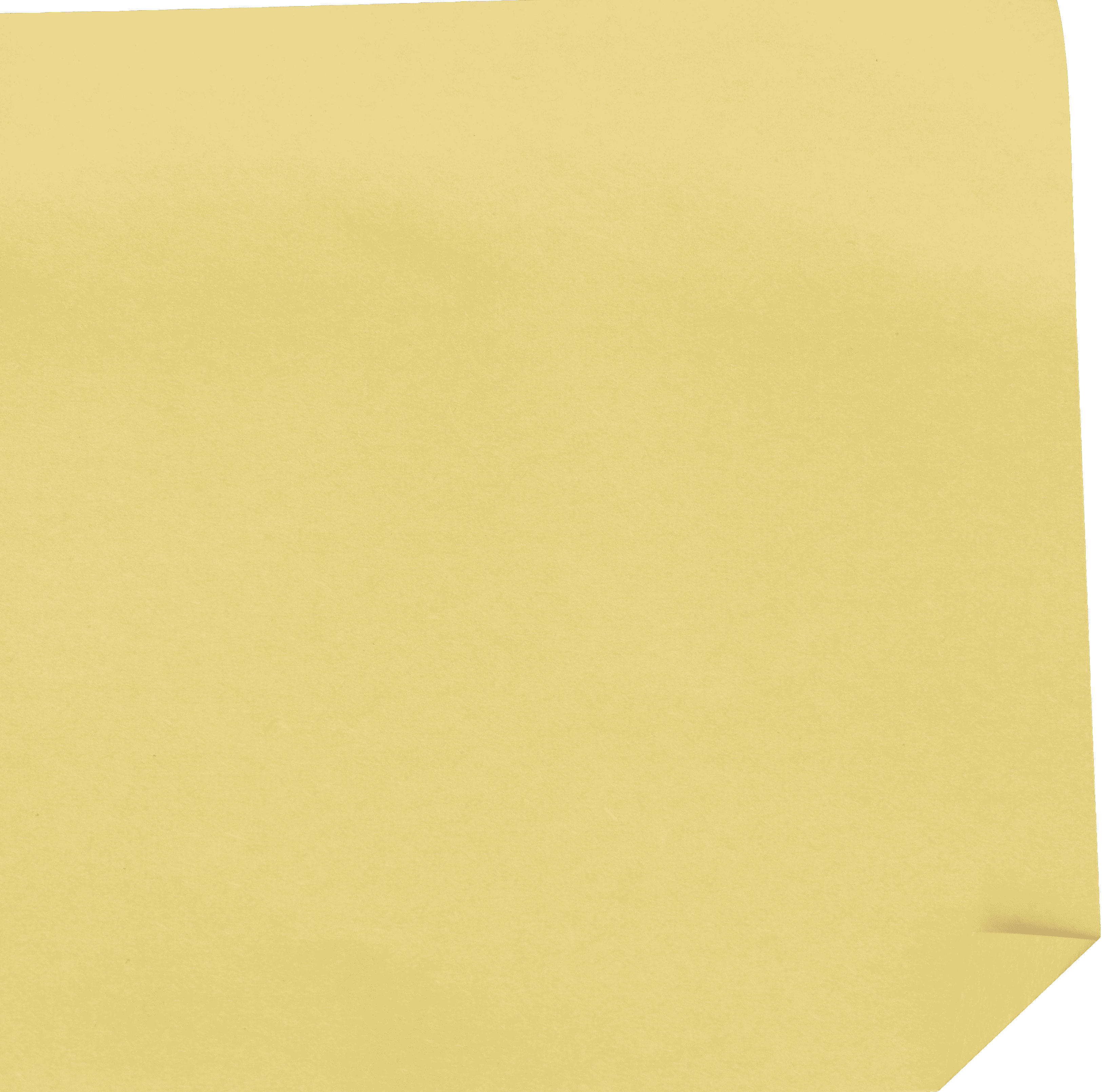 Creative & Production